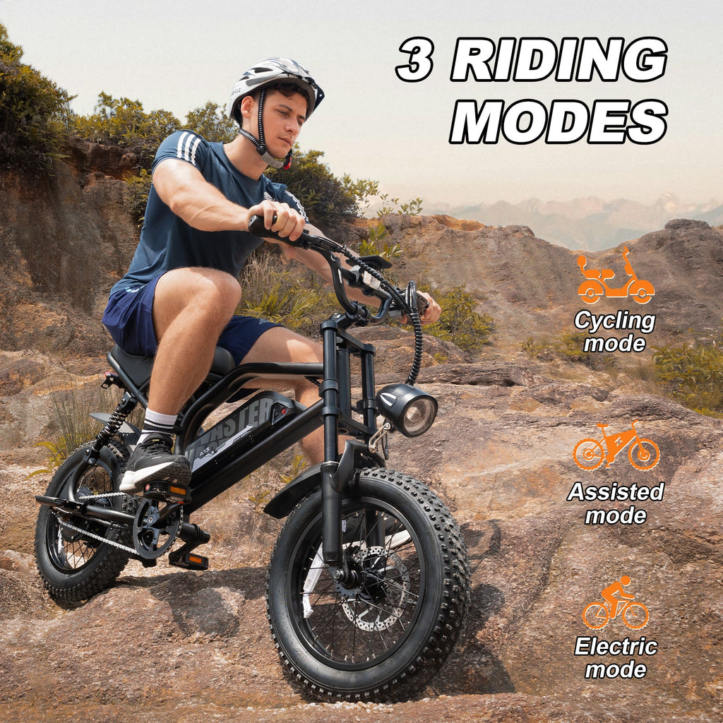 16'' Electric Bike for Teenager 25 km/h Fat Tire Electric Bike | A13 Blue