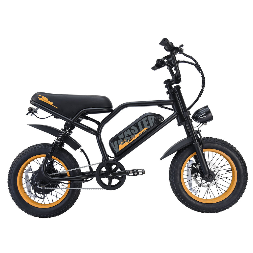 Electric Bike for Teenager 20 mph Ebike 20-45 Miles PAS Range, 36V12.8 Ah, 460Wh Larger Battery, 16'' Fat Tire Electric Bike|AVDLBIKE A13